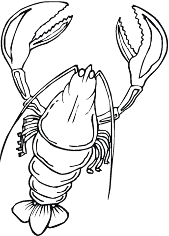 Lobster  Coloring Page